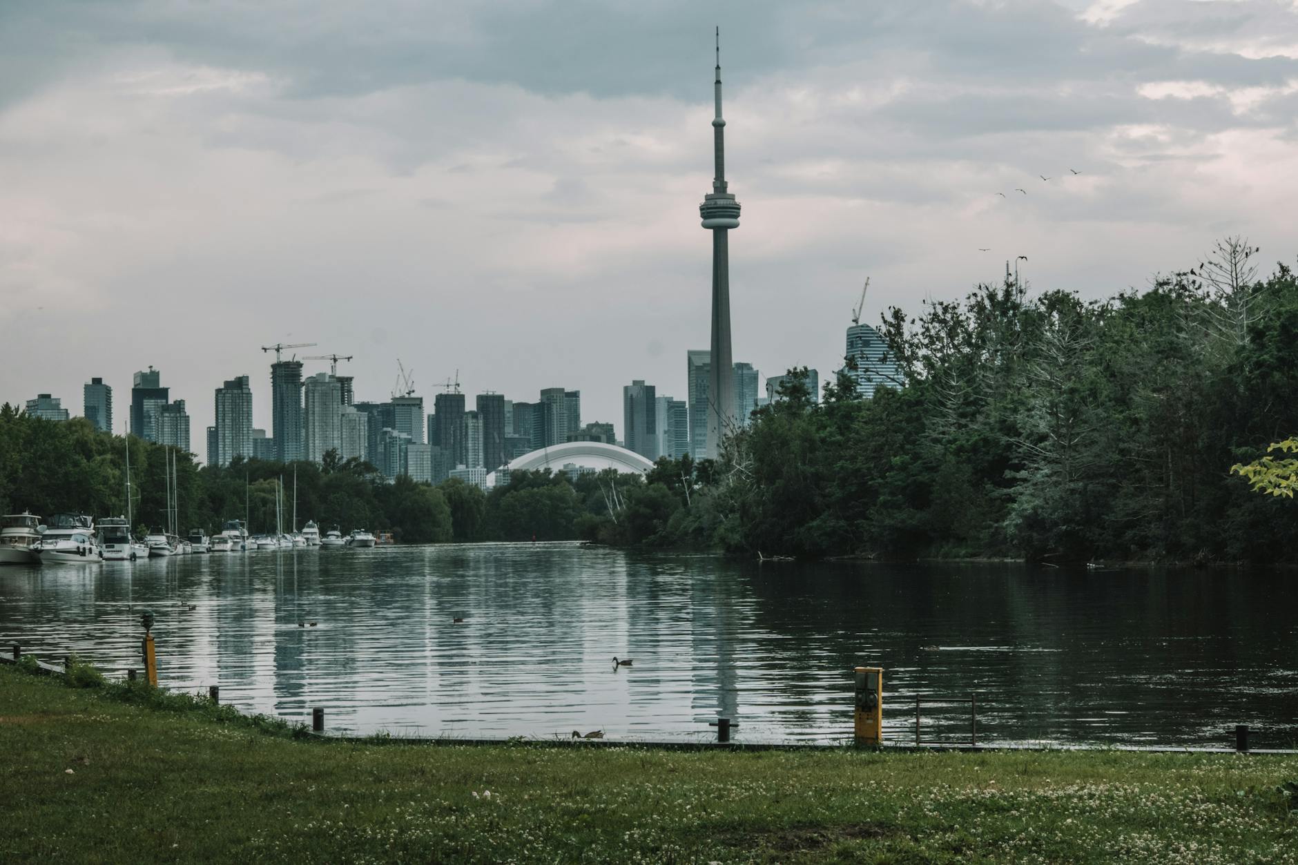 Toronto travel image