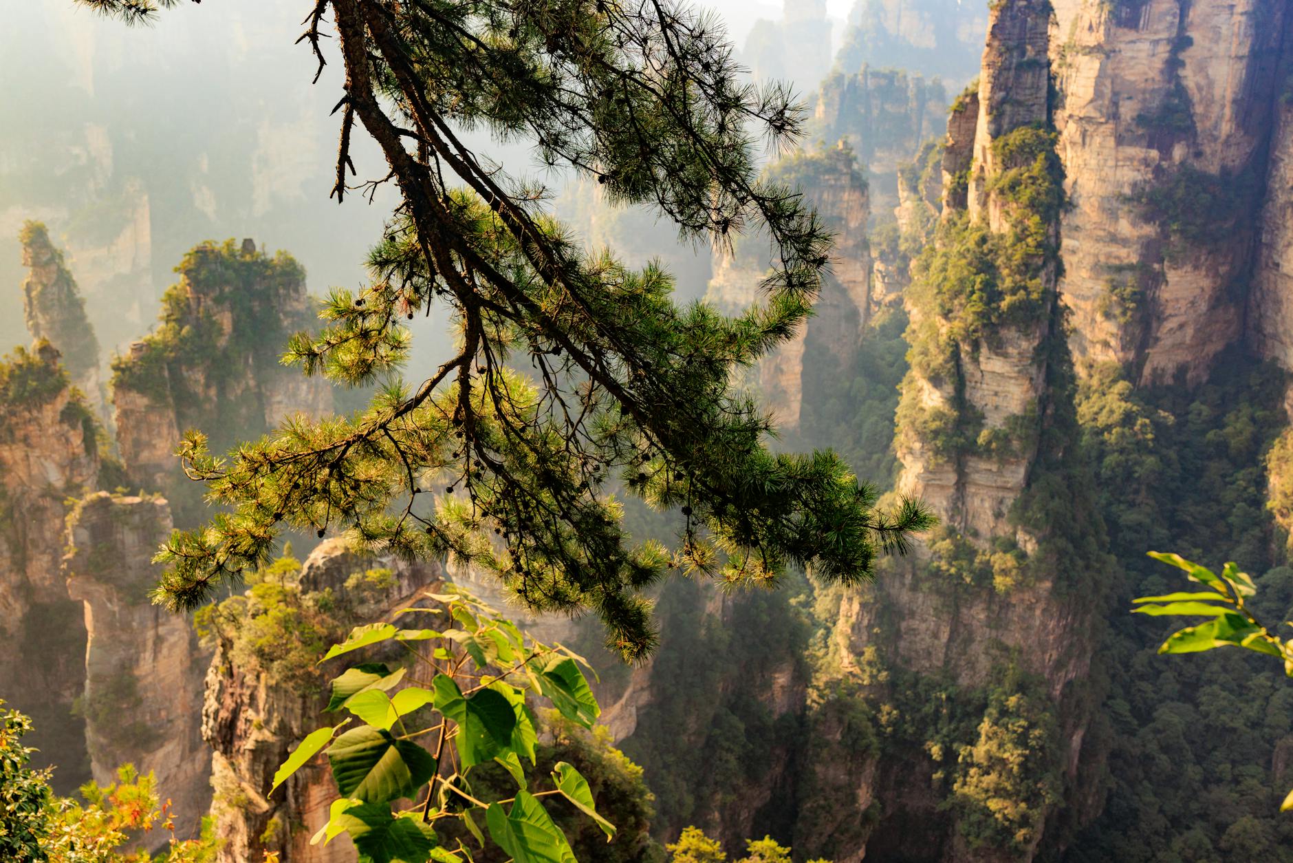 Zhangjiajie Travel Guide