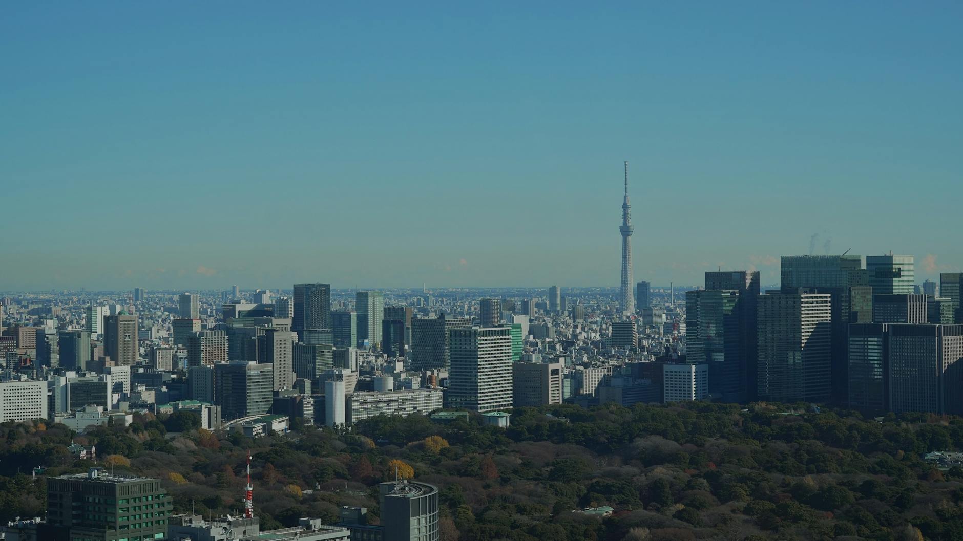 Japan travel image