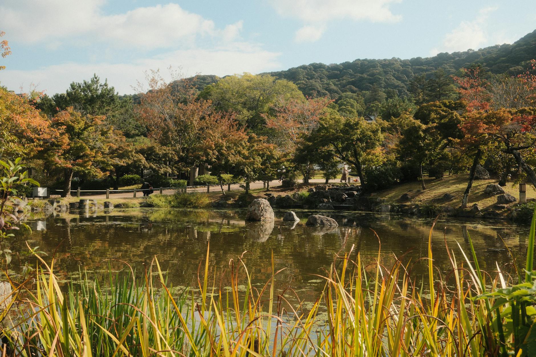 Japan travel image