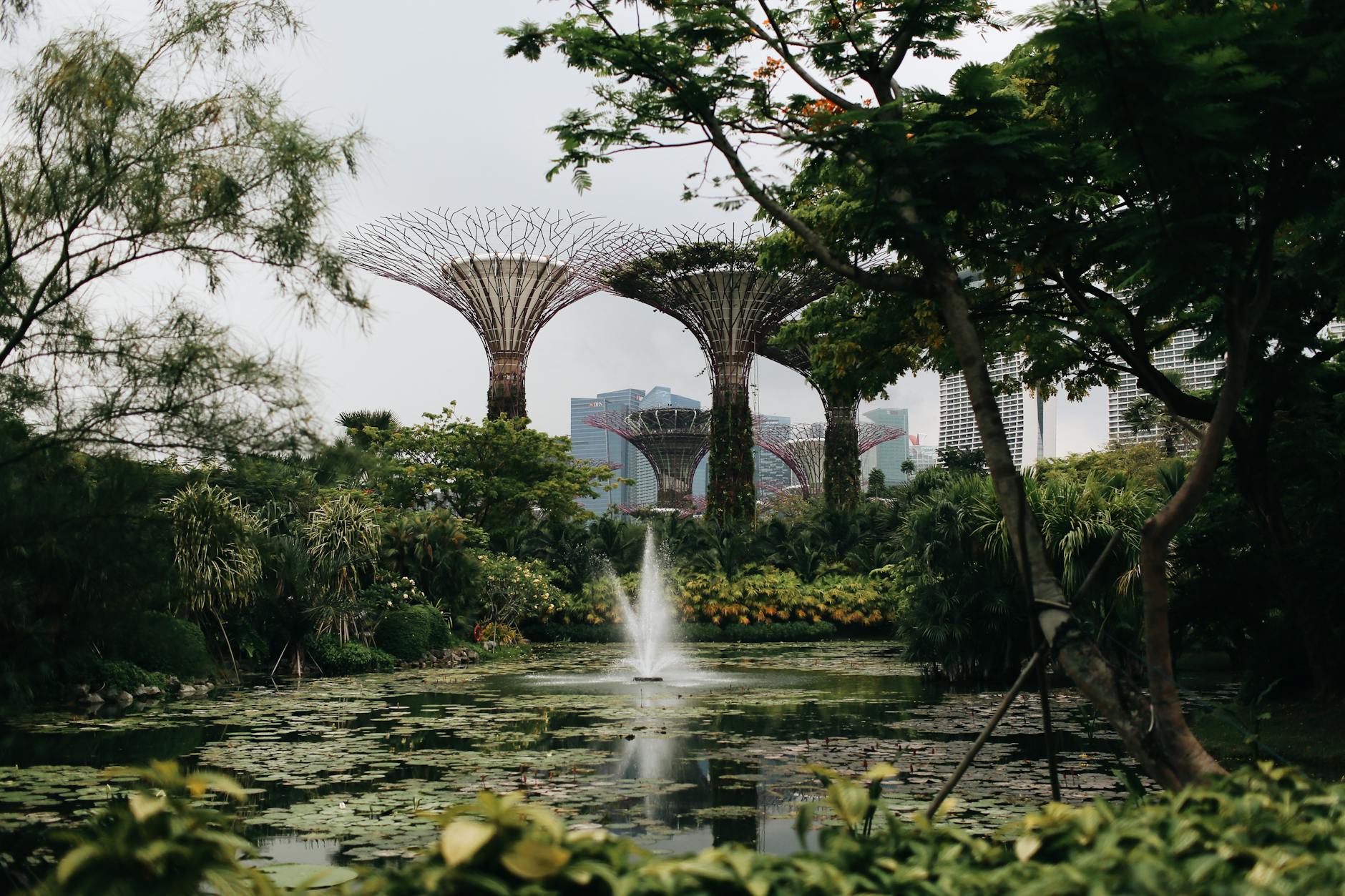 Singapore travel image