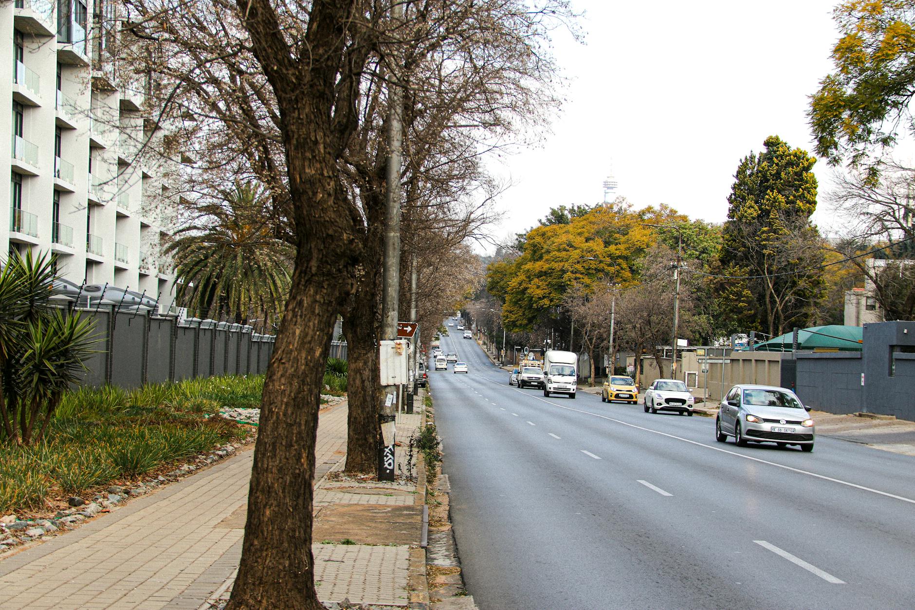 South Africa travel image