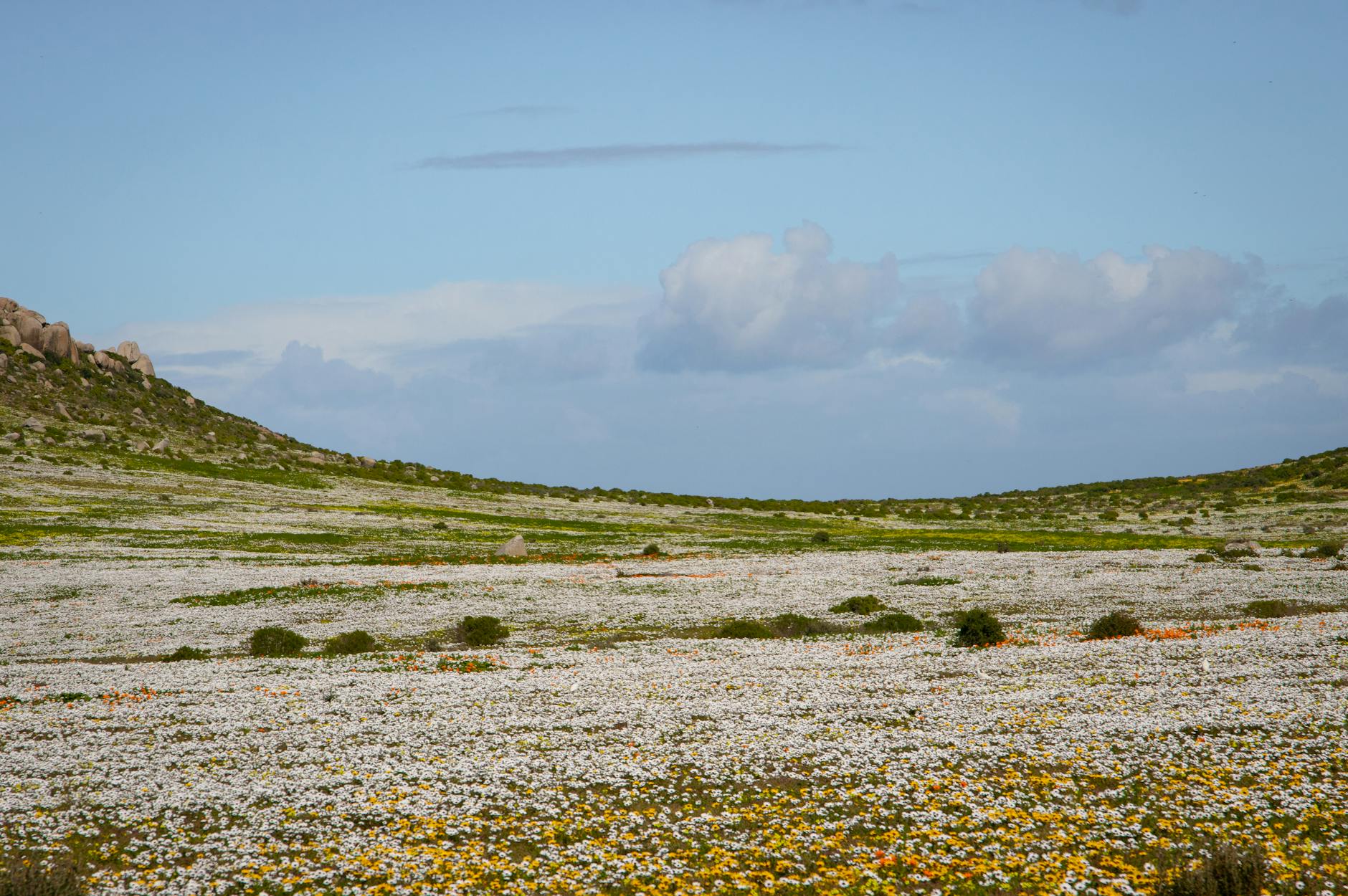 South Africa travel image