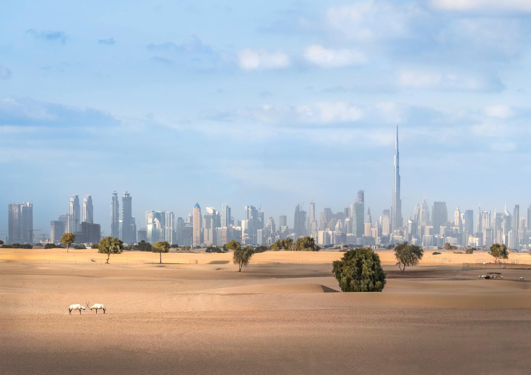 United Arab Emirates travel image
